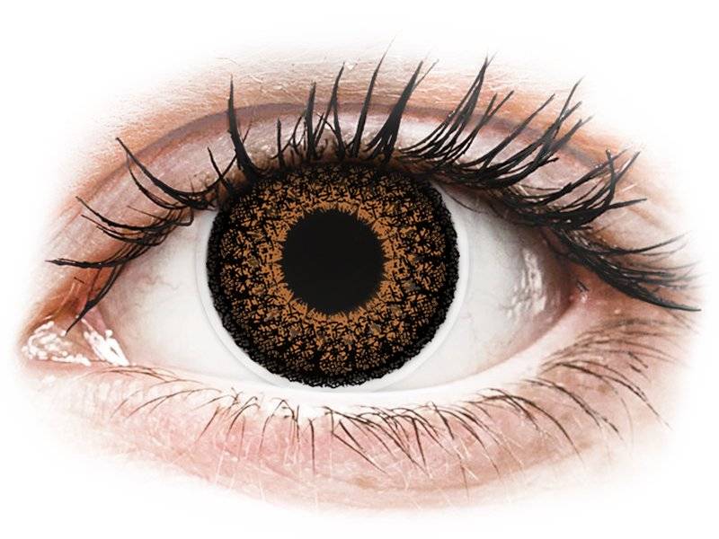 Colourvue Eyelush Brown Zonder Sterke 2 Lenzen huismerk kopen in de aanbieding Colourvue Eyelush Brown Zonder Sterke 2 Lenzen huismerk kopen in de aanbieding
