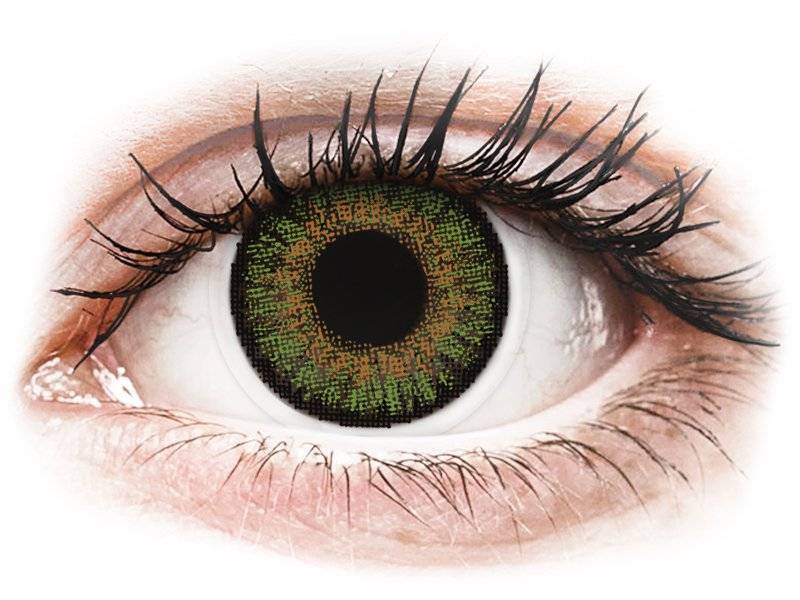 Freshlook One Day Color Green Zonder Sterkte 10 Lenzen huismerk kopen in de aanbieding