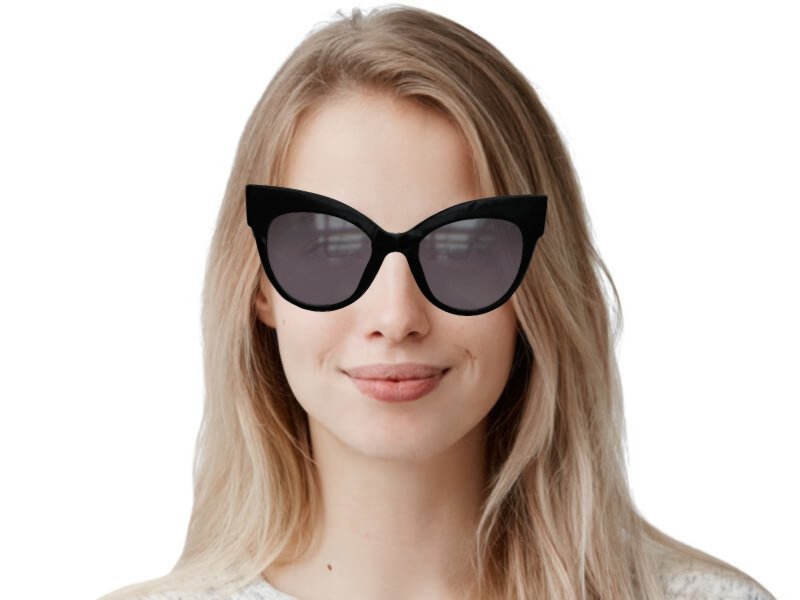 Max mara deals anita sunglasses